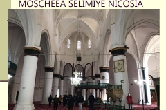 Slide29