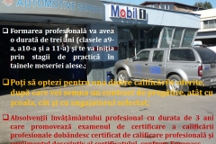 Slide11