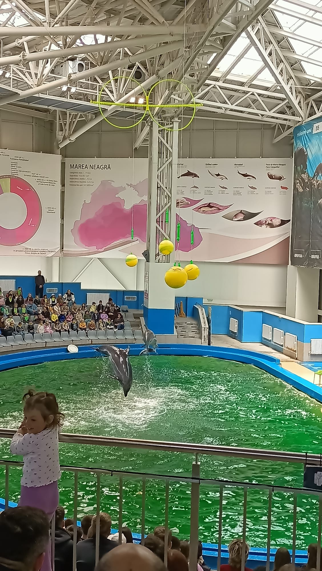 WhatsApp Image 2026-04-27 at 22.36.41 (1) - Copy