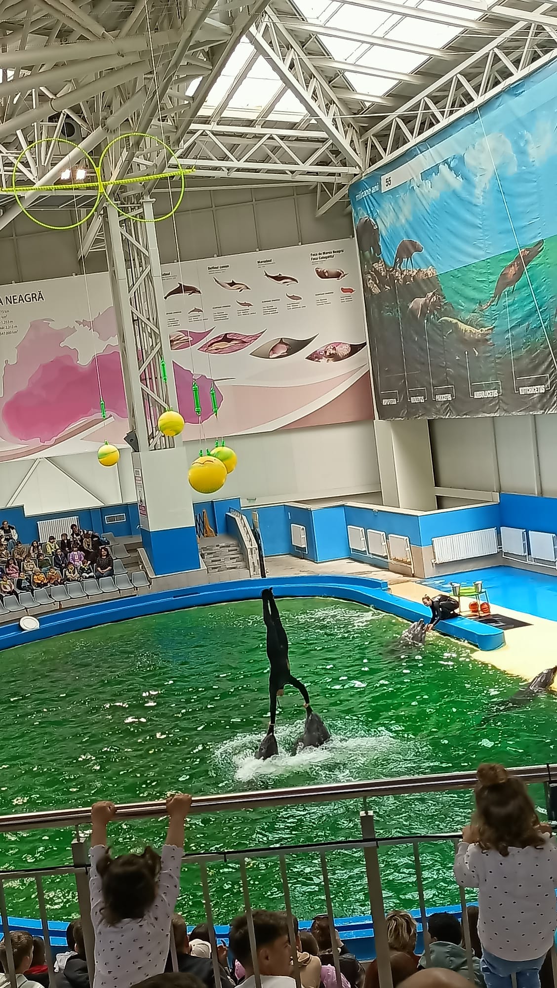 WhatsApp Image 2026-04-27 at 22.36.42 (1)