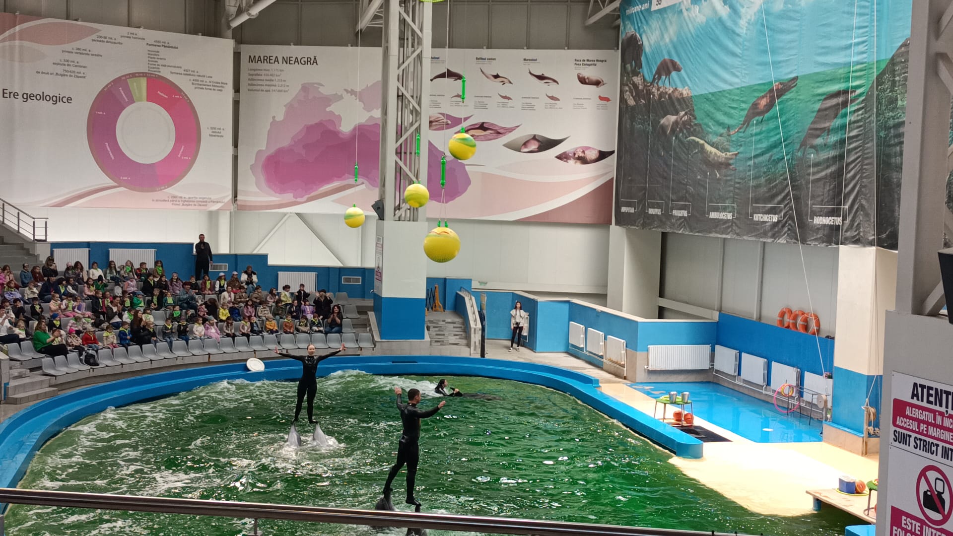 WhatsApp Image 2026-04-27 at 22.36.42 (2)