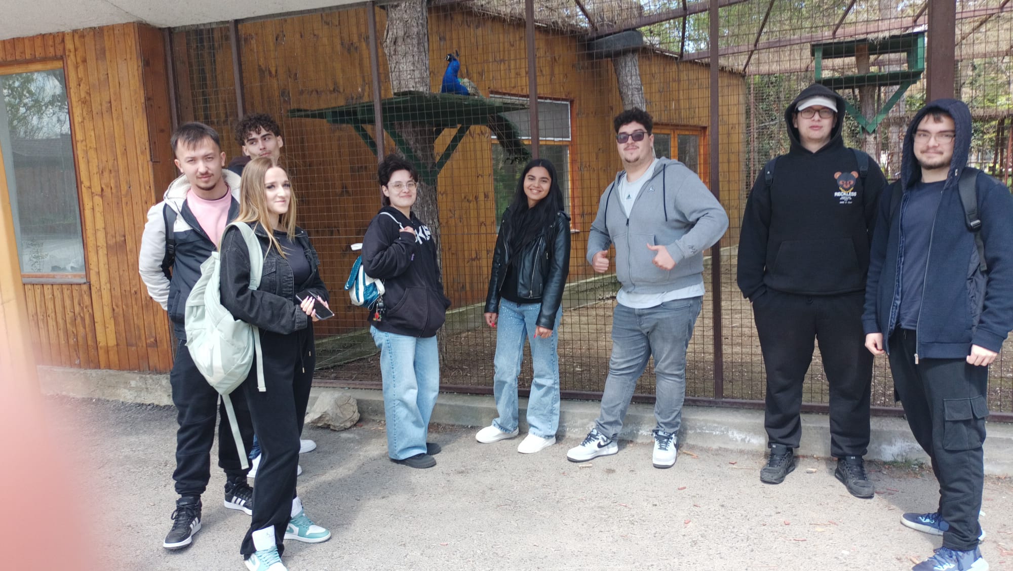 WhatsApp Image 2026-04-27 at 22.36.42 (3)